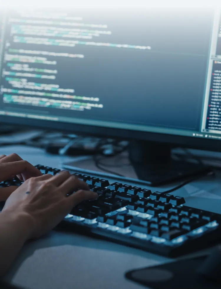Custom Software Development